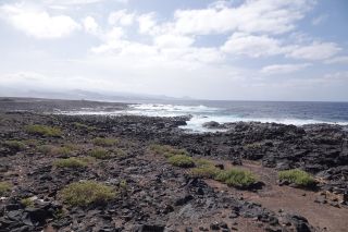 2021-03-GranCan-La_Isleta-PM-NN-50.JPG